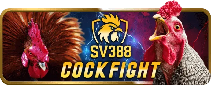 Hình ảnh minh họa các công cụ và chính sách hỗ trợ trách nhiệm cá cược của bonusfreebet chính thức